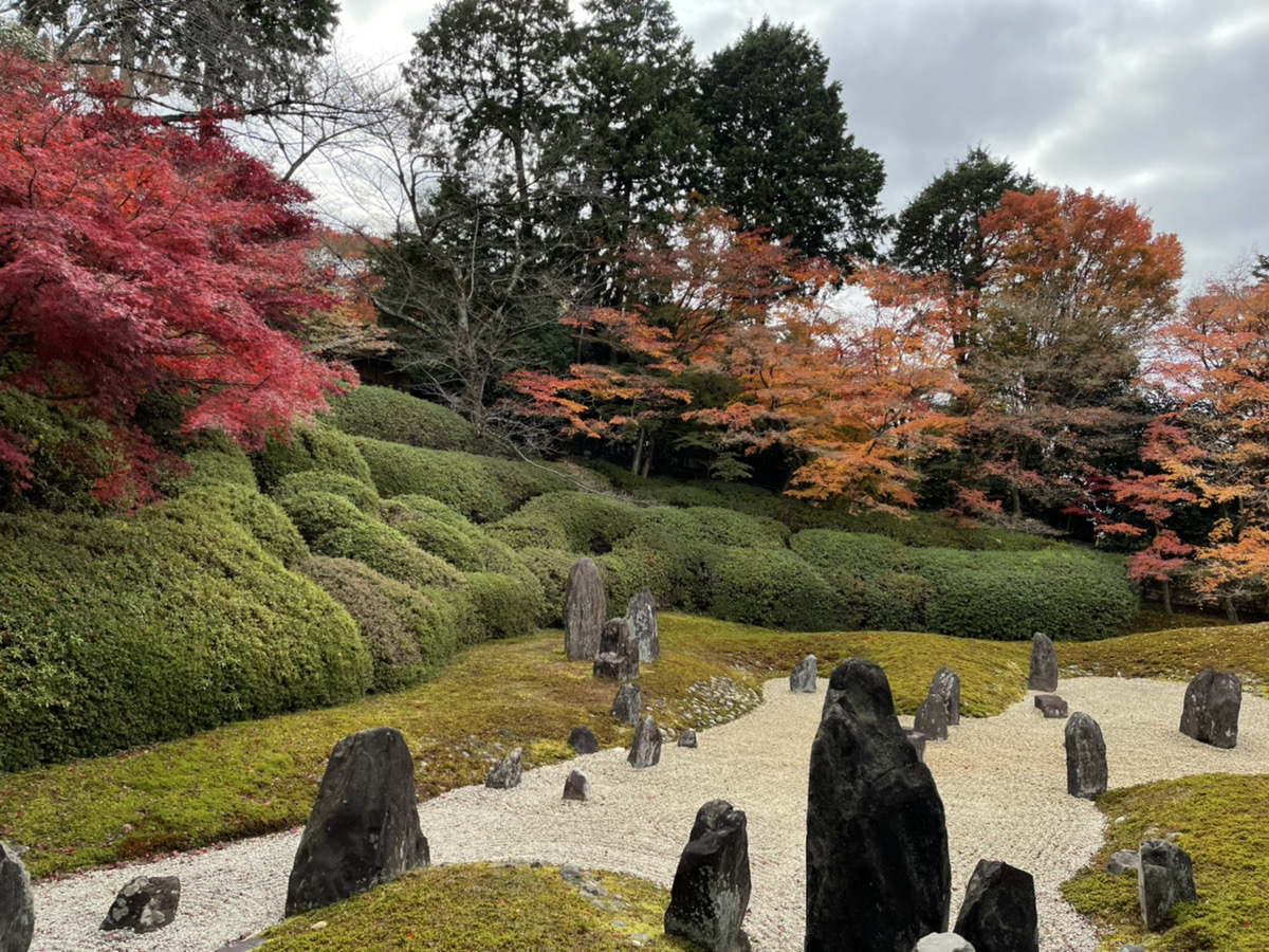 秋の京都へ6歳の娘と旅行に行く